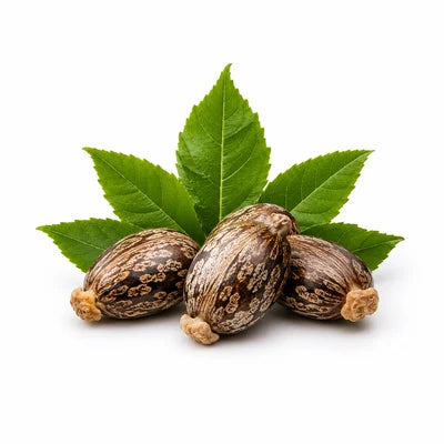 Castor Oil