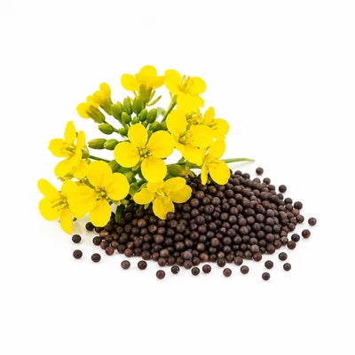 Mustard Oil