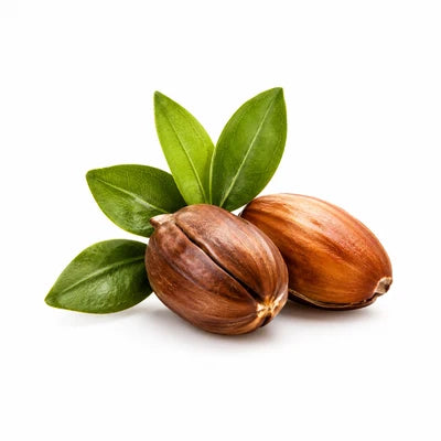 Jojoba Oil
