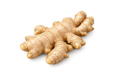 Ginger